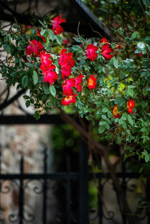 Mulberry House Villa Sithonia Exterior foto